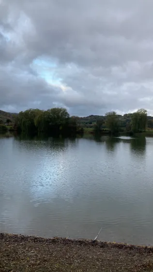 Teich 8 (ASV Eschwege)