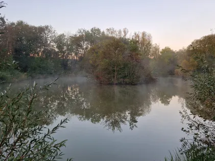 Ebach Weiher