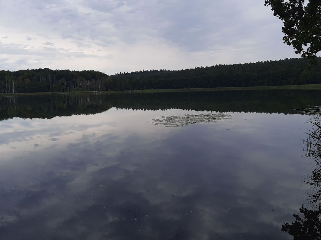 Großer Steeder See angeln