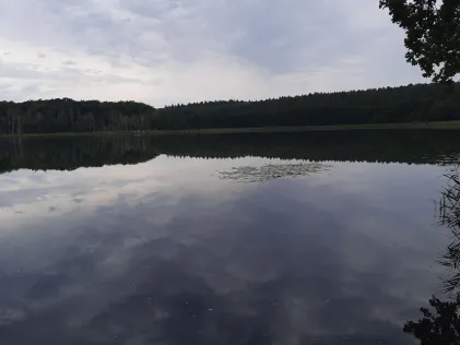 Großer Steedersee (Warin)