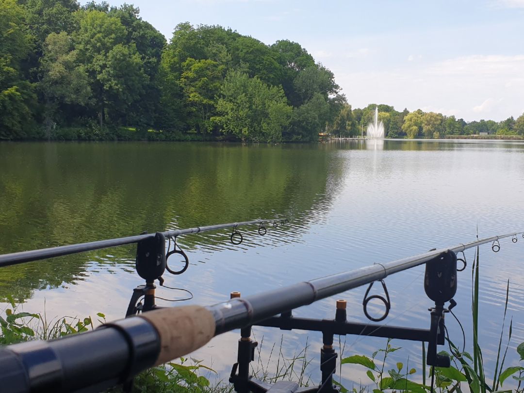 Angeln in Werdau