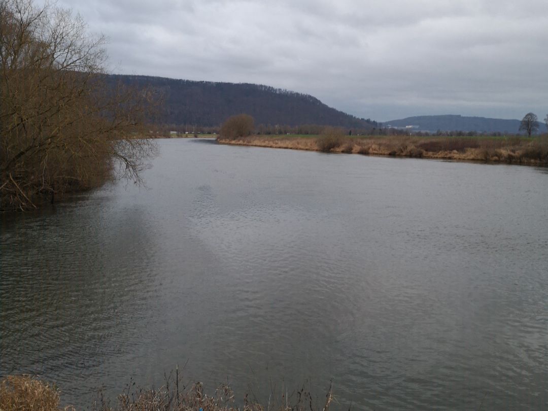 Weser (Godelheim) angeln