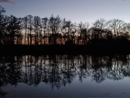 Siebigweiher