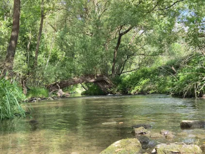 Orla (Orlamünde)