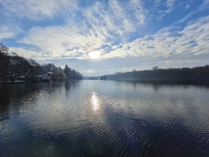 Hariksee