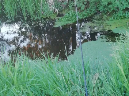 Ehle (Möckern)
