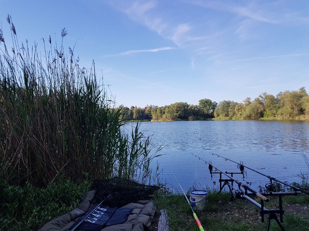 Friedrichsbad (Zwintschöna) angeln