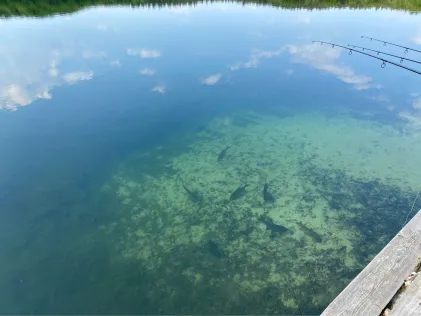 Trünnensee