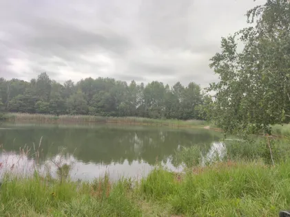 Tongrube (Abtsdorf)