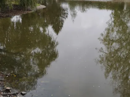 Kahnweiher (Waldfeucht)