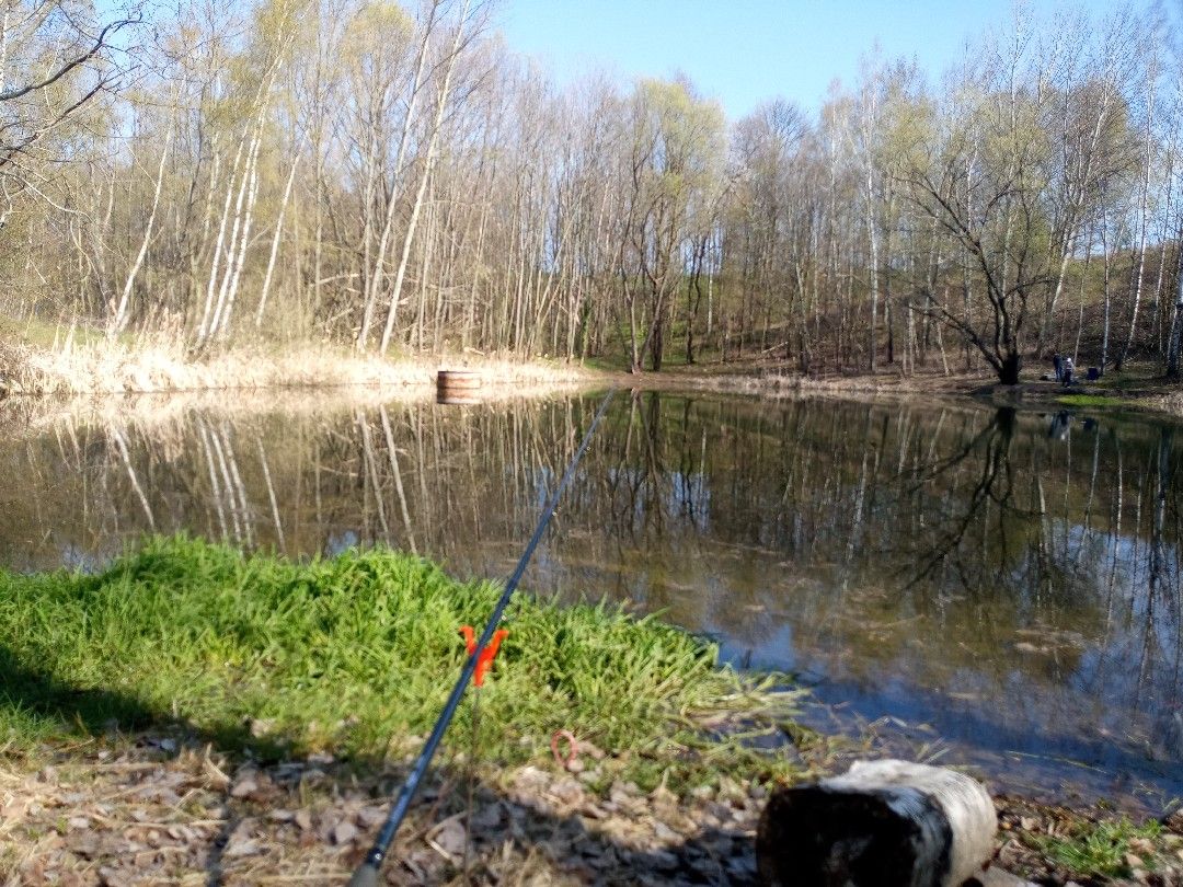 Teich Bockwen/Scharfenberg angeln