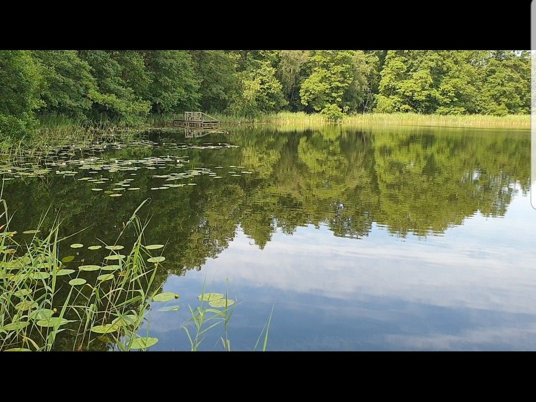 Bibersee (Dinniser See) angeln