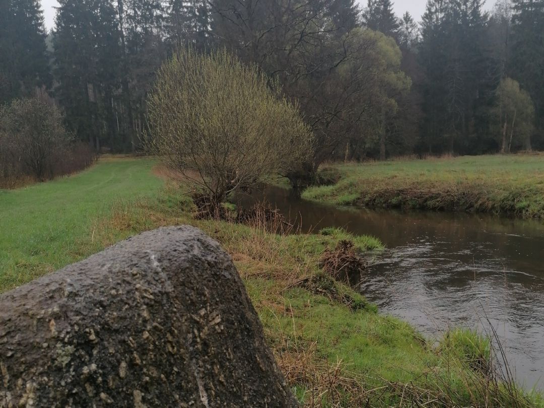 Waldnaab (Tirschenreuth) angeln