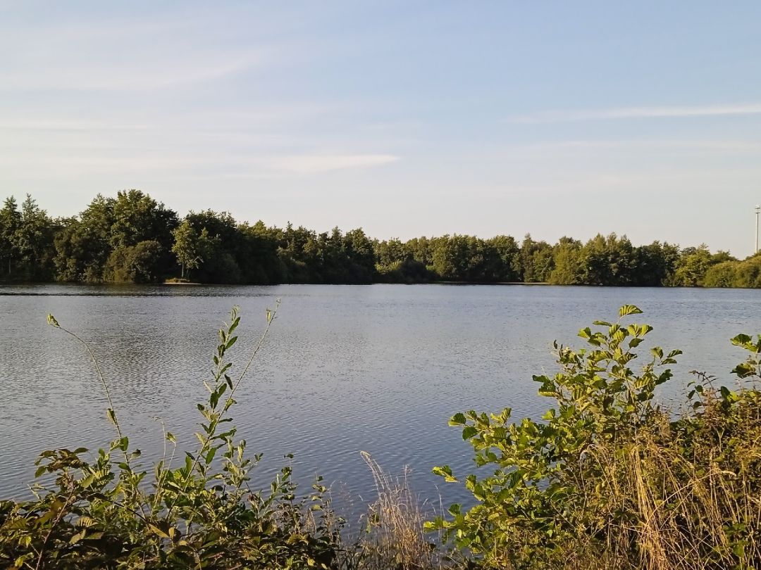 Autobahnteich Haren angeln