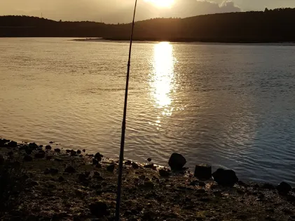 Rio Arade