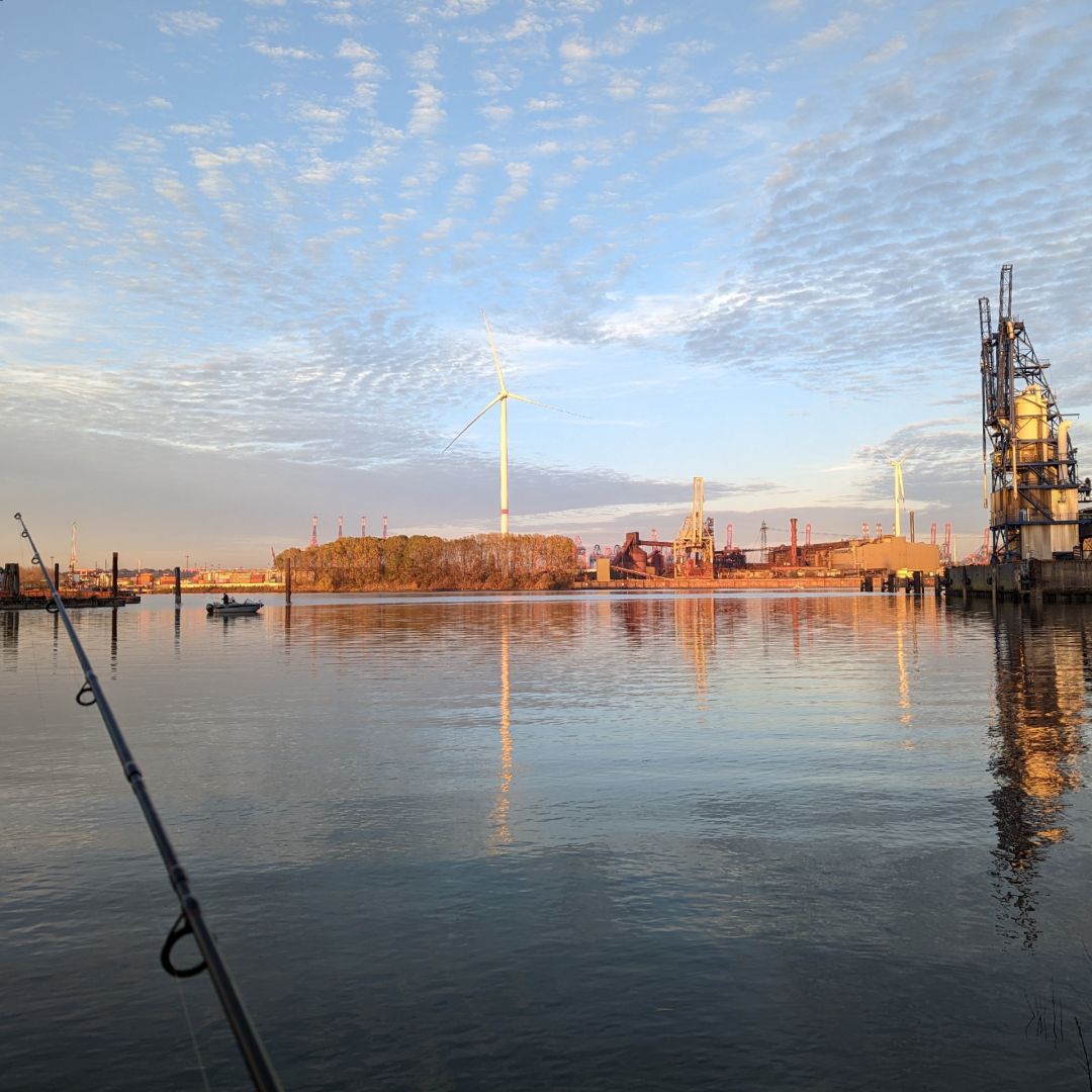 Köhlfleet (Hamburg-Finkenwerder) angeln