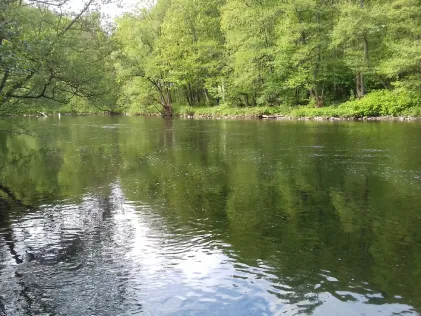 Lenne (Iserlohn)