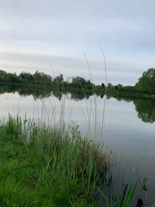 Westteich Brake
