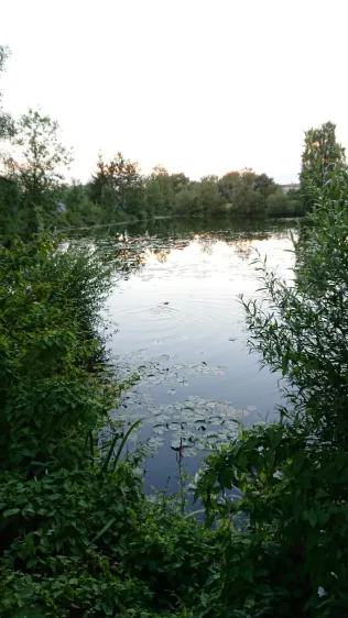 Dr.-Carl-Schwenk-Seen