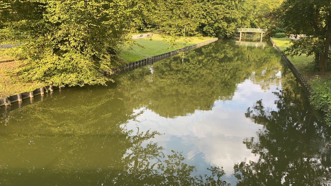 Stadtwaldweiher (Köln) angeln
