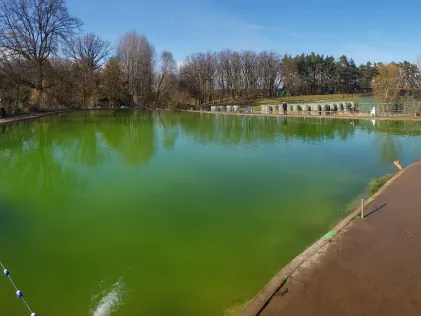Forellenteich Bavendorf