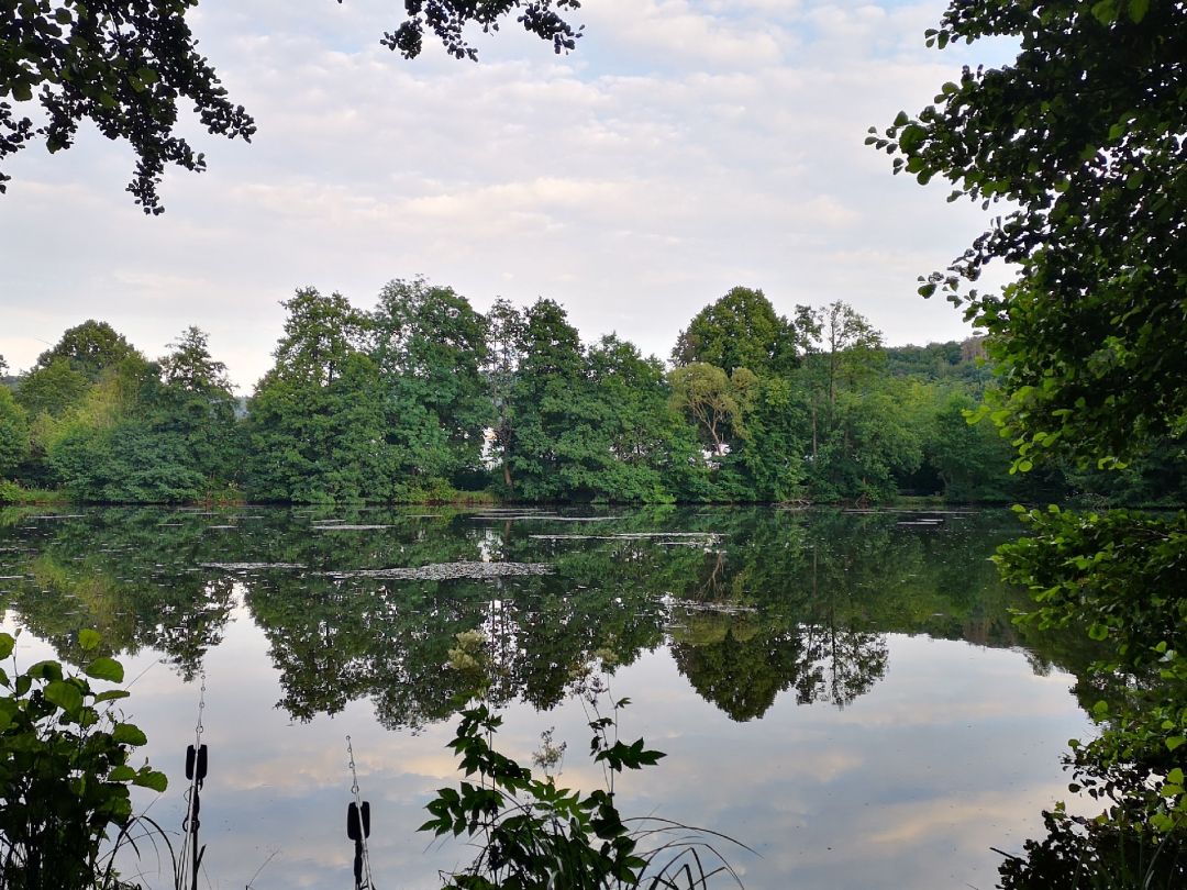 Amalienhütter Weiher angeln