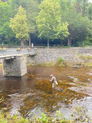 Rur (Monschau)
