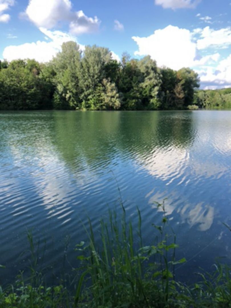 Großer Baggersee Mühlau angeln