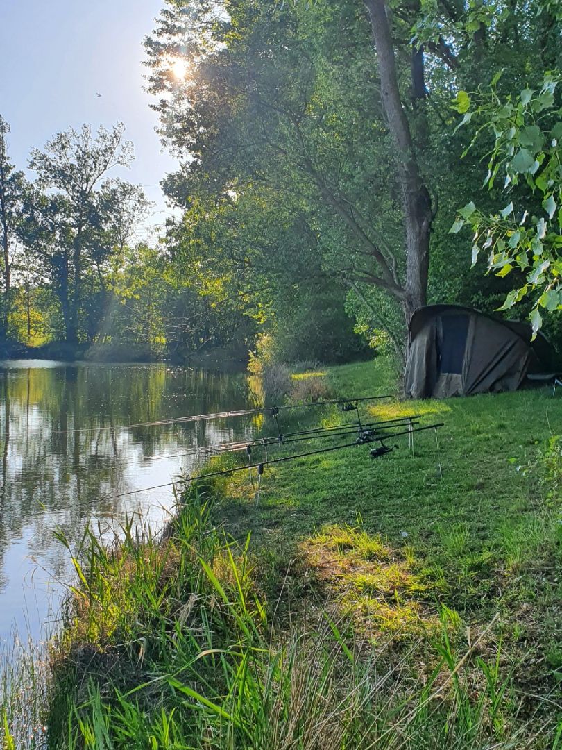 Teich ASV Elgershausen angeln