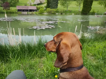 Hartgrundsee