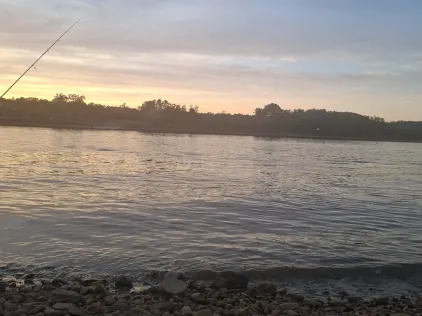 Rhein (Stürzelberg)