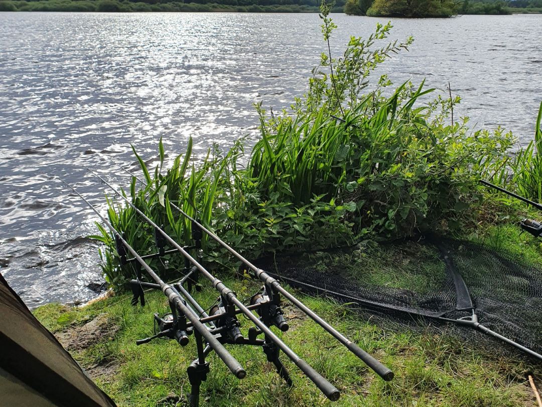 Thülsfelder Stausee angeln