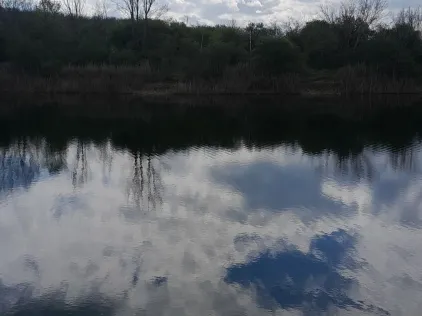 Neues Tonloch (Beesenlaublingen)