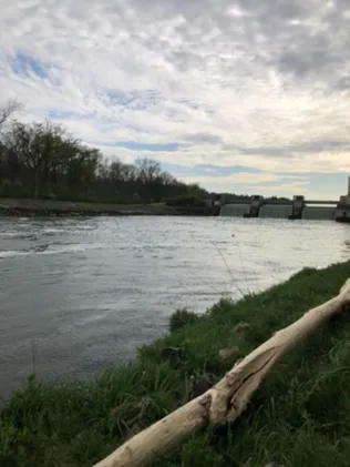 Donau (Leipheim)
