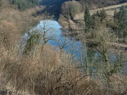 Wied (Melsbach)