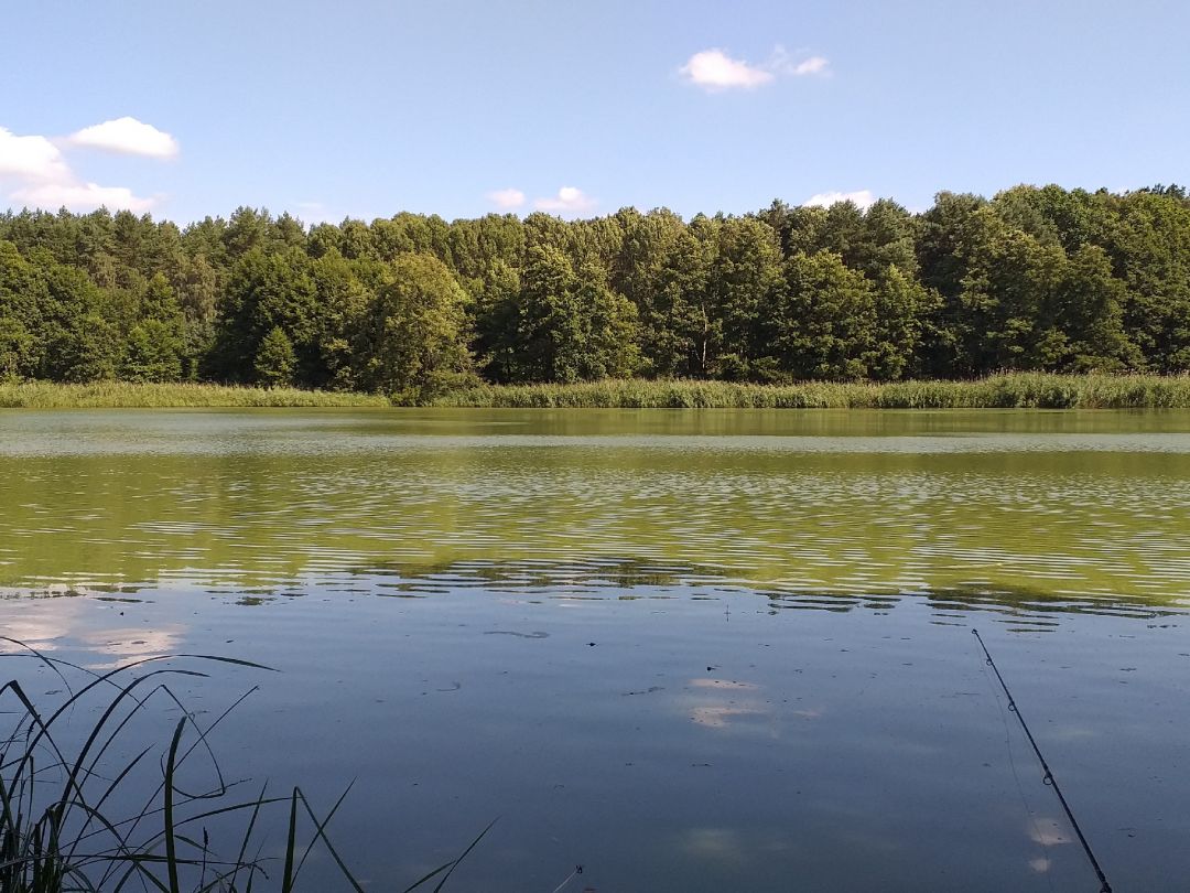 Großer Oelsener See angeln