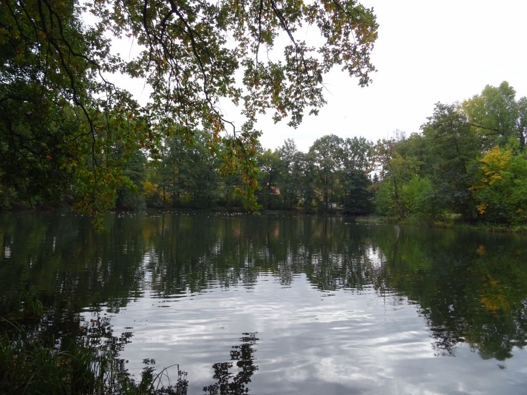 Nymphensee (Rangsdorf) angeln