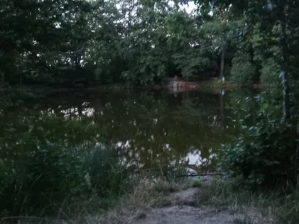 Nymphensee (Rangsdorf)
