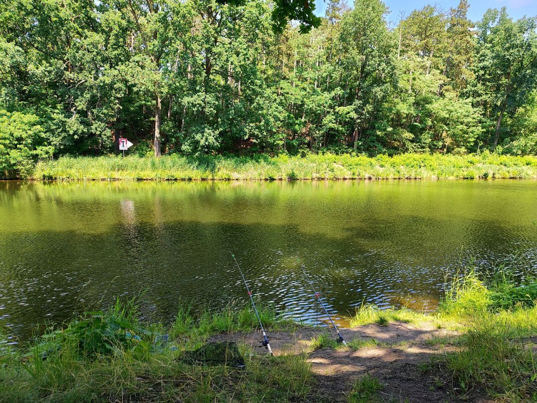 Oder-Havel-Kanal (Ruhlsdorf-Zerpenschleuse) angeln