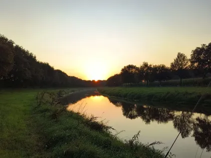 Hase (Herzlake)