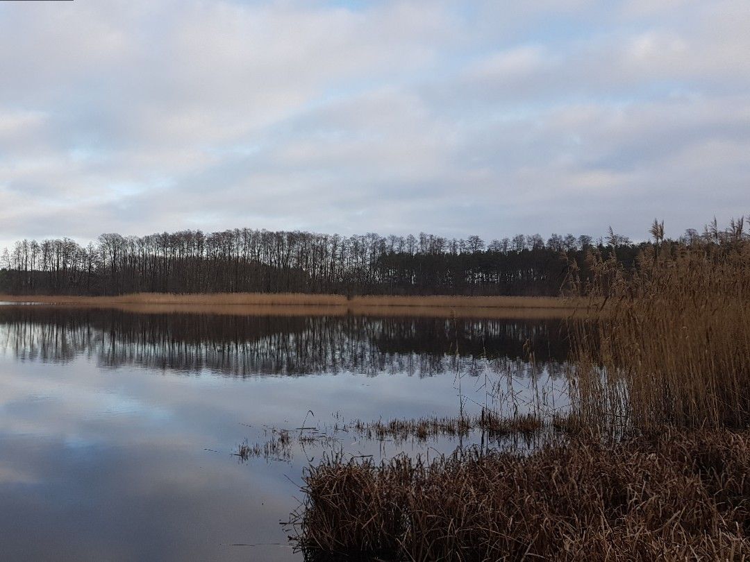 Kleiner Lottschesee angeln