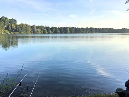 Hasselkampsee