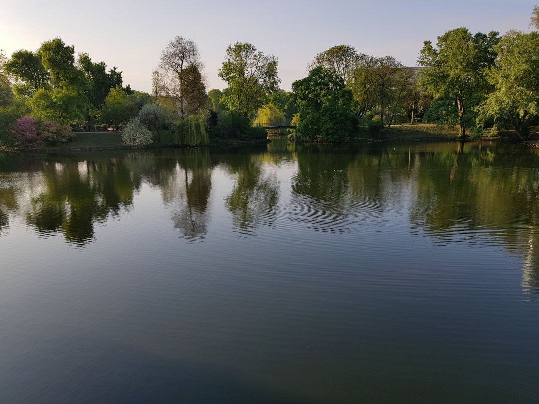 Kaiserteich (Düsseldorf) angeln