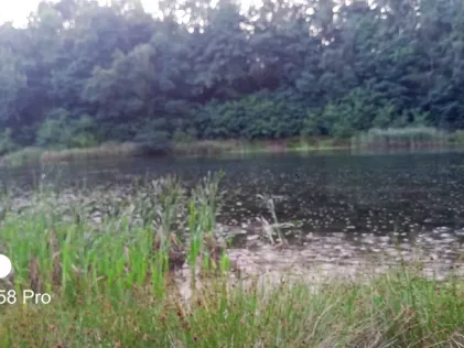 Grubenteich Hellda (Lichterfeld)