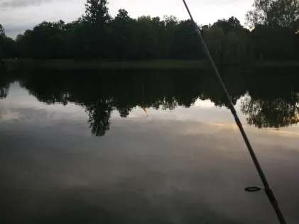 Auwaldsee (Ingolstadt)