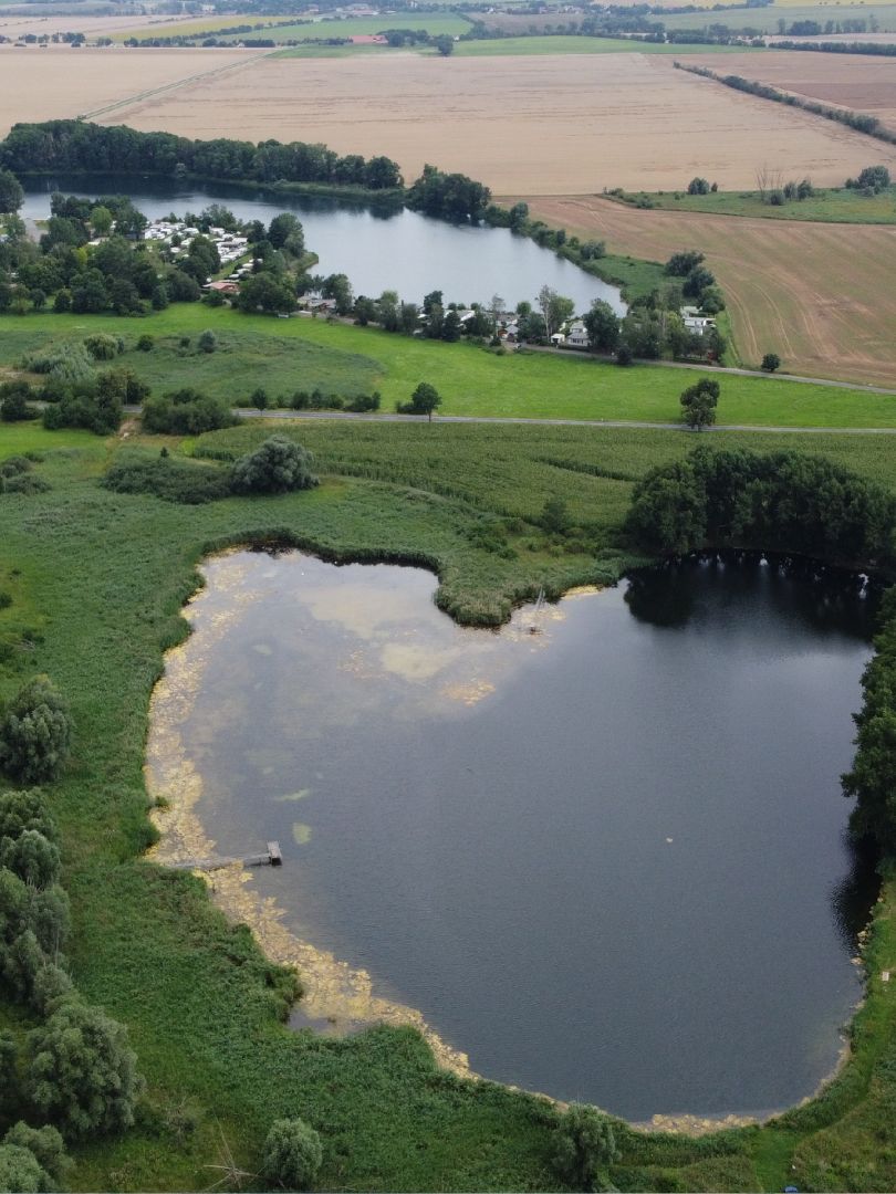 Sportplatzteich Gerlebogk angeln