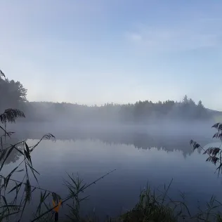 Schönewalder Weiher (Rückholz)