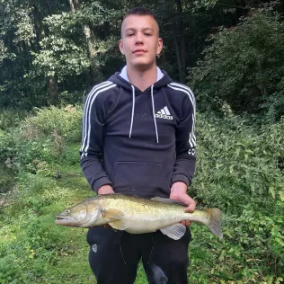 Erlenteich (Dünne)
