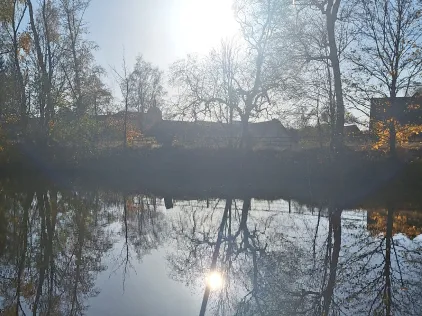 Fauler Teich (Hasselfelde)