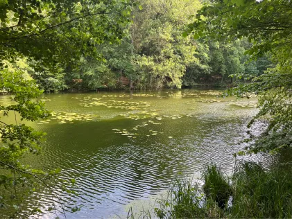 Kalte Beek